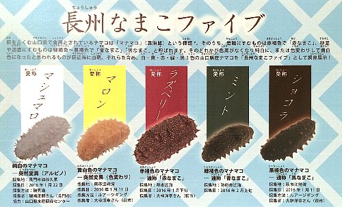 さようなら 長州なまこファイブ 16 9 3 萩博ブログ