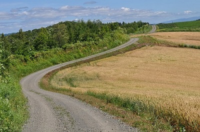 e0180796_4581830.jpg