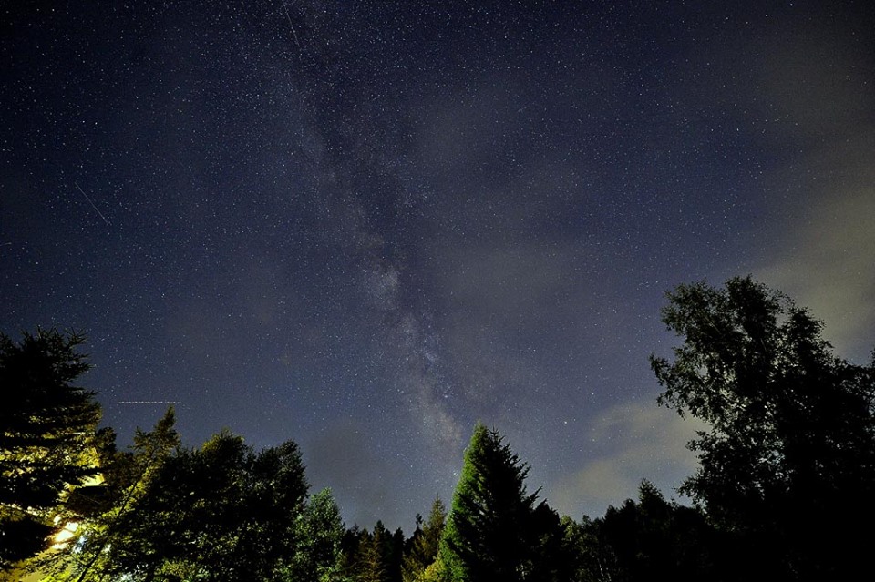b0024798_15373994.jpg