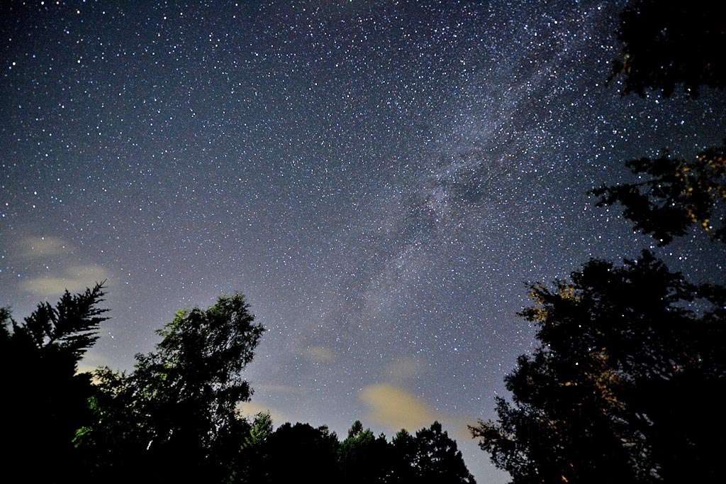 b0024798_15393933.jpg