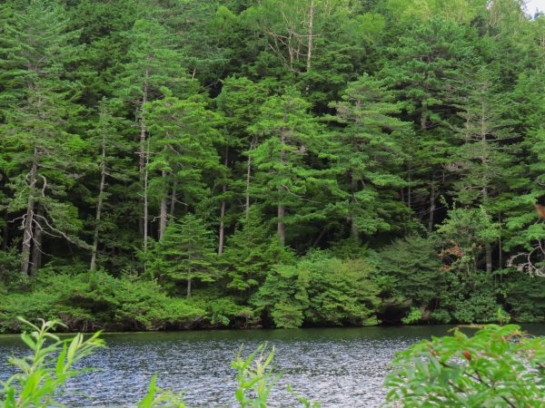 f0033598_025598.jpg