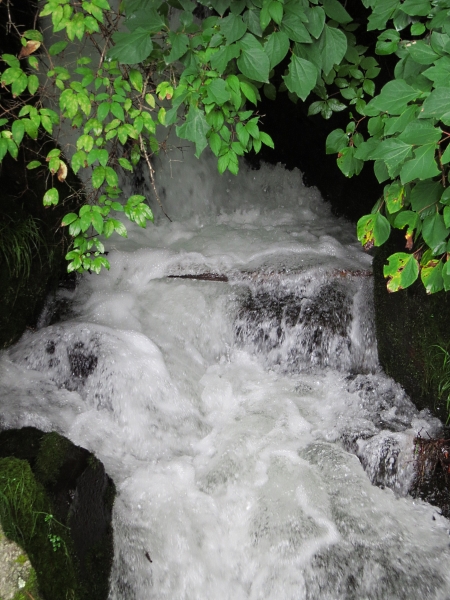 f0033598_061496.jpg