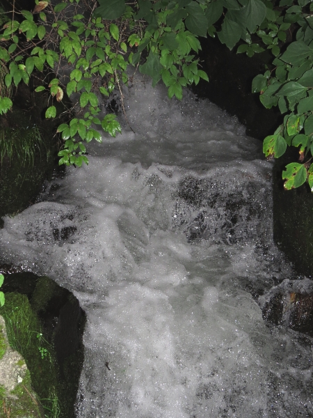 f0033598_064195.jpg