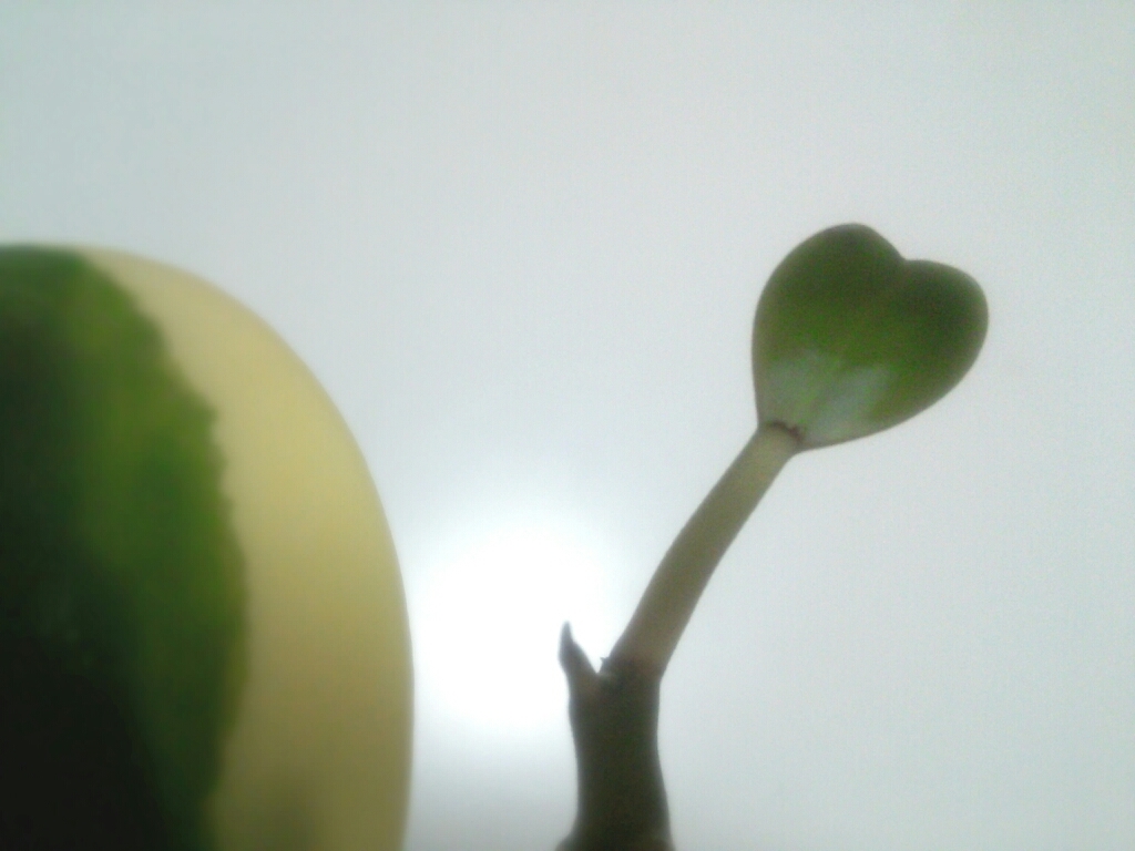 a0333000_01042642.jpg