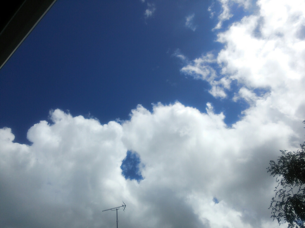 a0333000_13543809.jpg