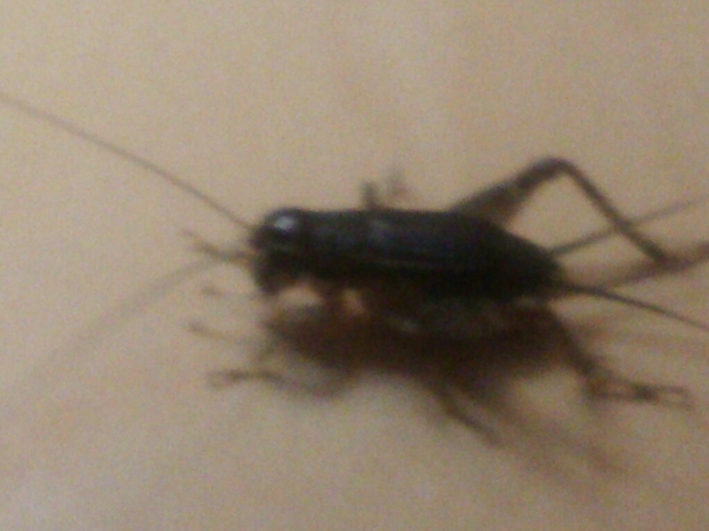 a0333000_13544183.jpg
