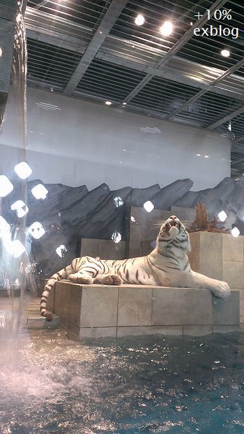 d0064000_21474347.jpg