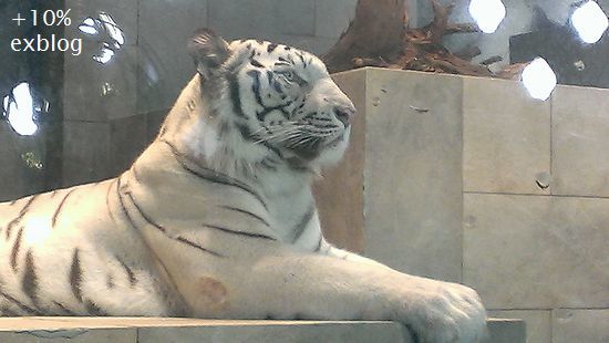 d0064000_21561935.jpg