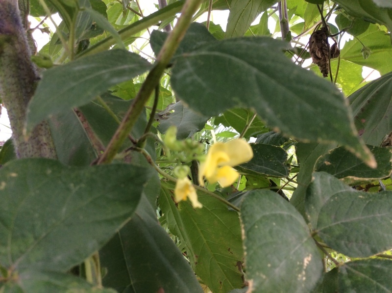 b0220002_17173923.jpeg