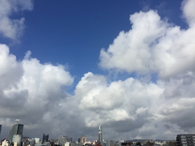 d0183102_23412005.jpeg