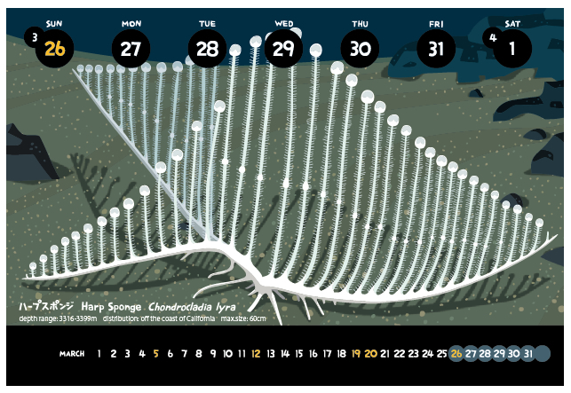 深海生物カレンダー　サンプル2_f0292806_12333310.jpg