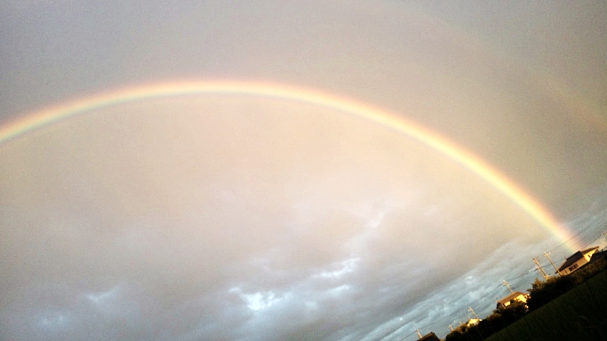 e0098908_190088.jpg
