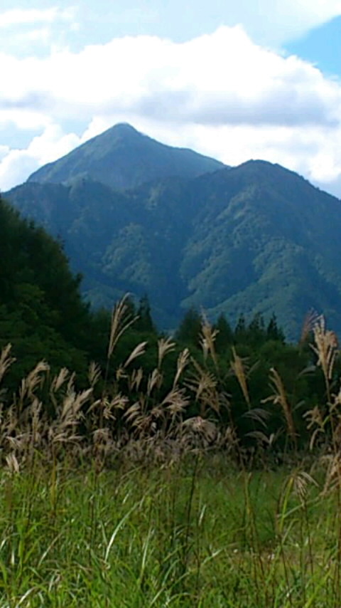 b0028109_21193562.jpg