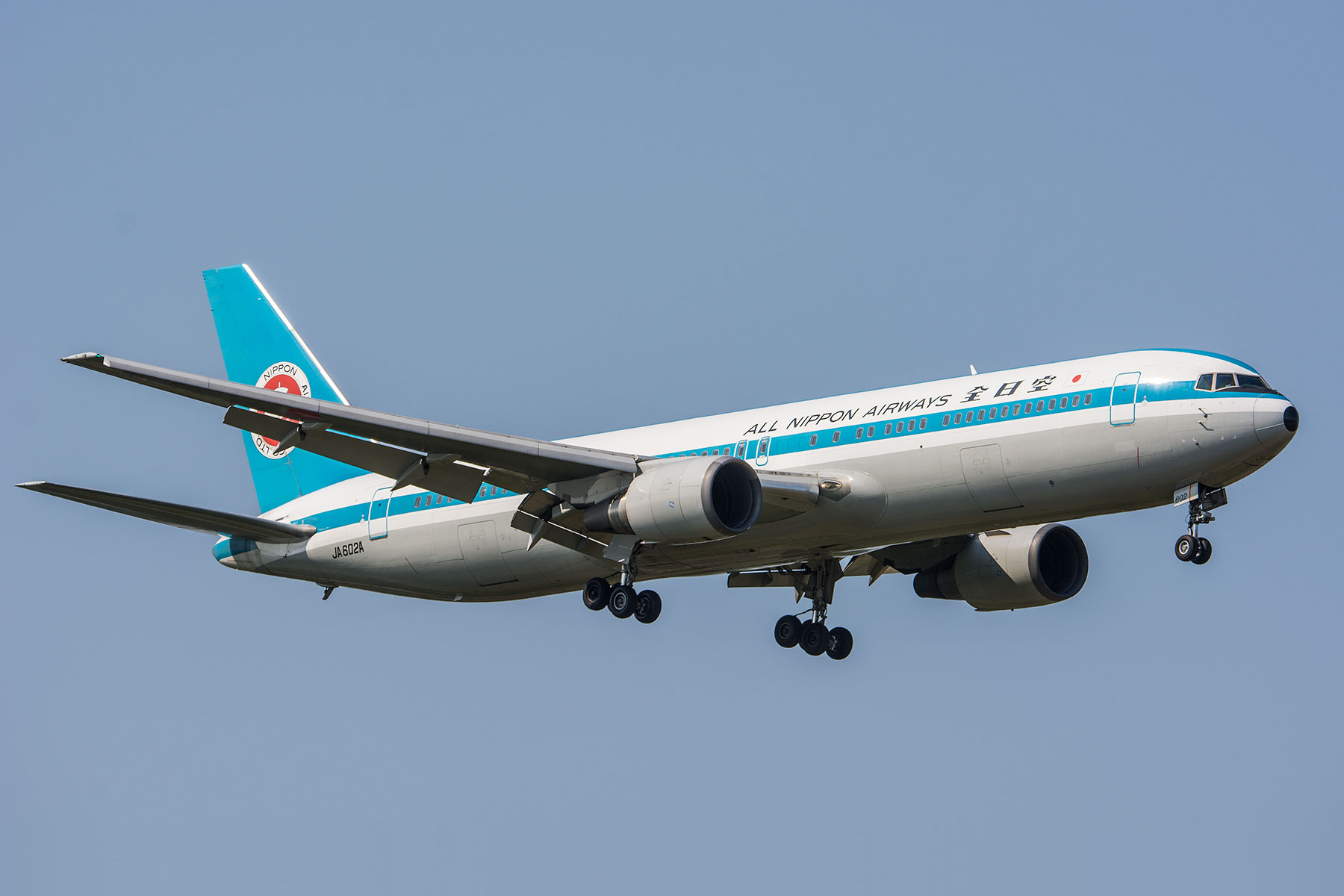 Boeing 767-300 / JA602A -モヒカンジェット- : SKY LOUNGE GARDEN