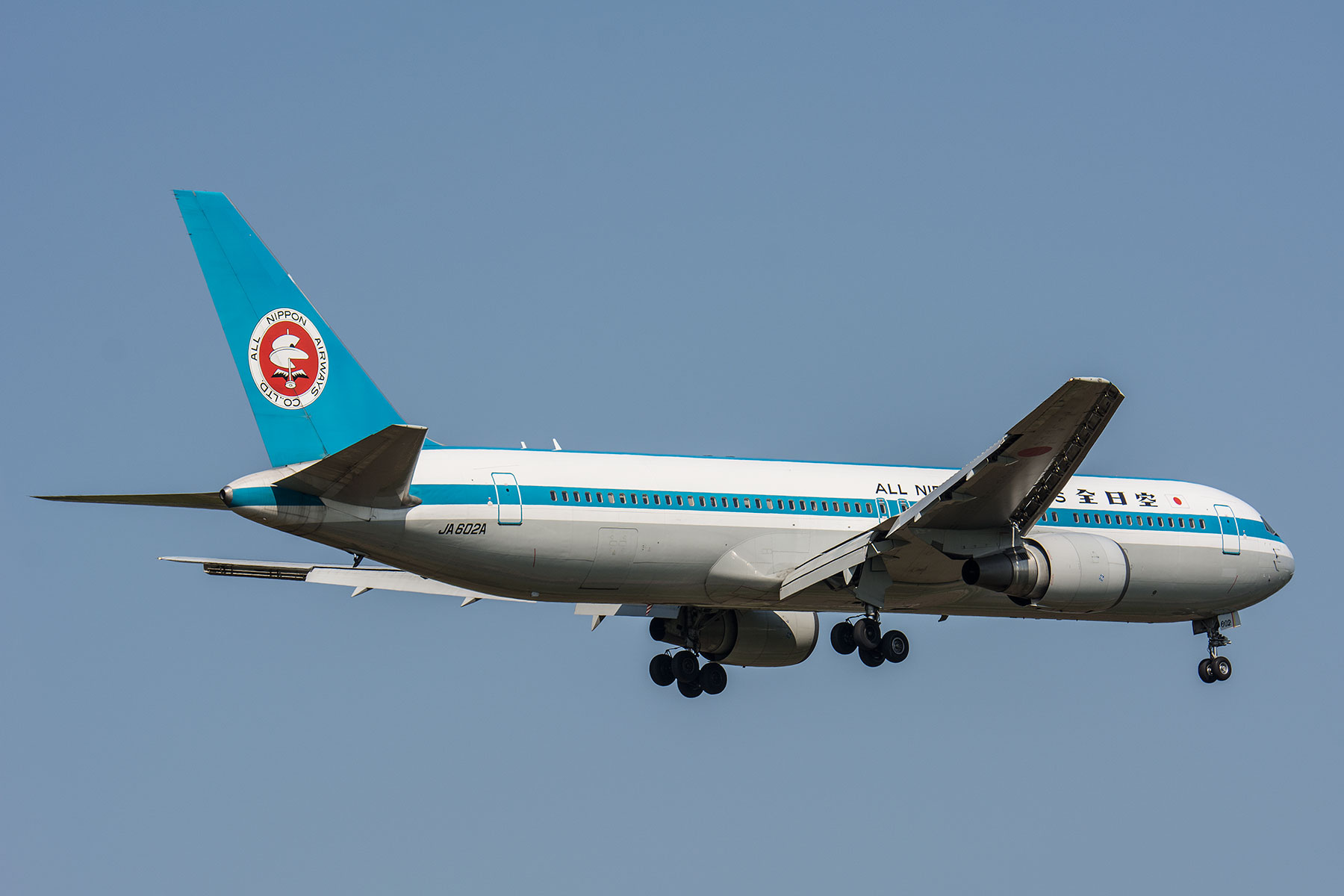 Boeing 767-300 / JA602A -モヒカンジェット- : SKY LOUNGE GARDEN