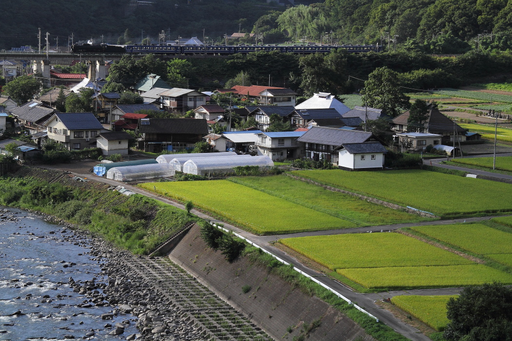 雲影と日射しがせめぎあう夕方の棚下 - 2016年晩夏・上越線 - _b0190710_23393081.jpg
