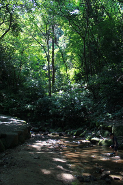 f0127610_162738.jpg