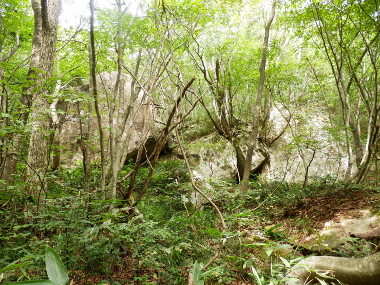 f0219710_06541693.jpg