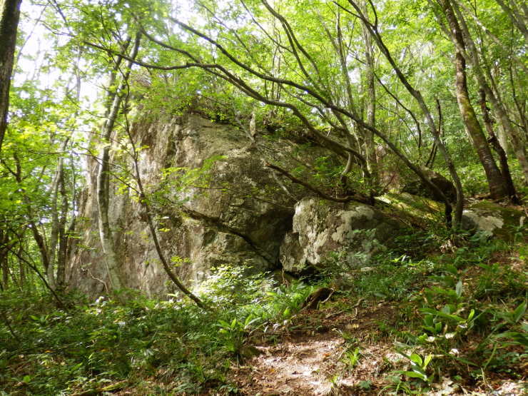 f0219710_06544649.jpg