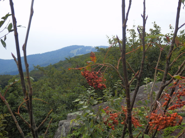 f0219710_07115320.jpg