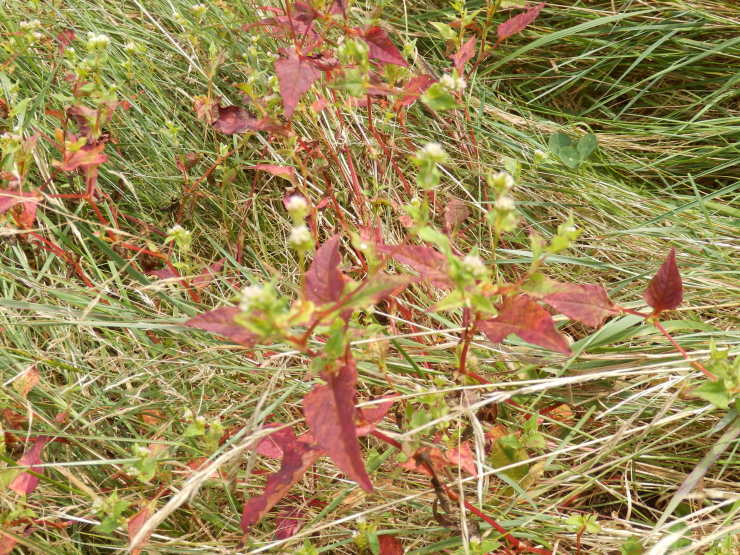 f0219710_07200744.jpg
