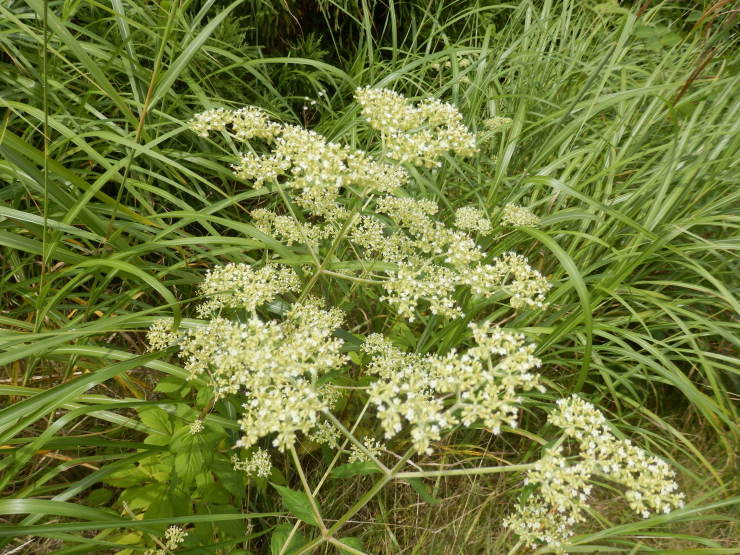 f0219710_07213043.jpg