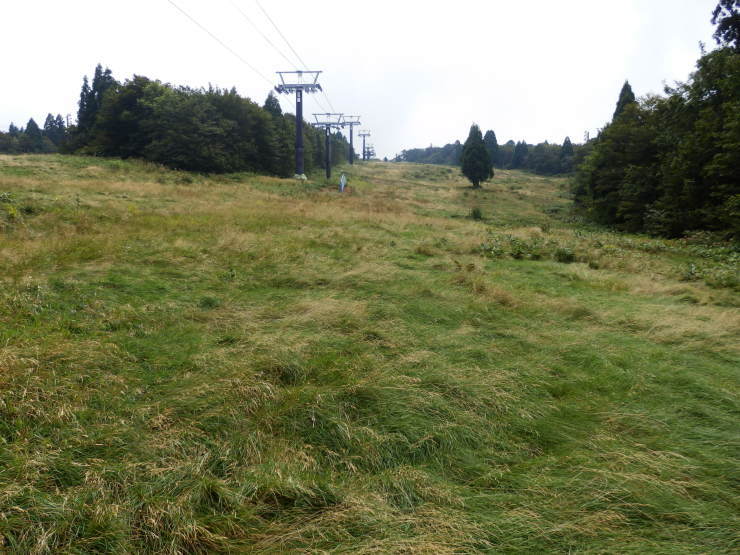 f0219710_07255053.jpg