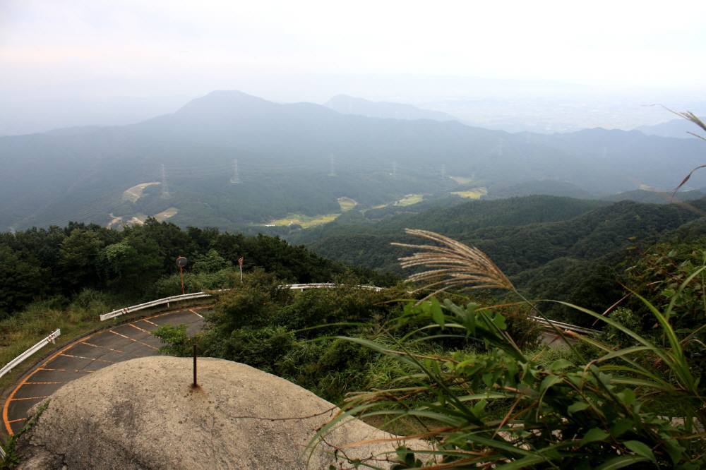 先週に引き続き福岡県低山、竹の尾山へ_f0212511_21064527.jpg