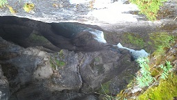 a0177314_18124175.jpg