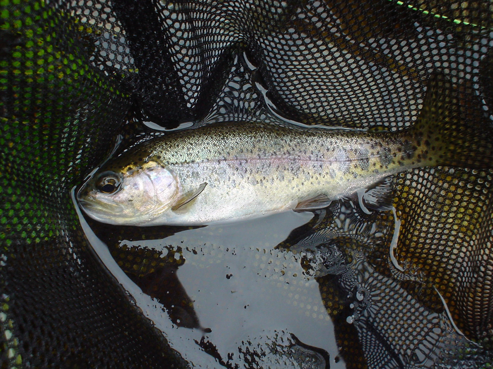 f0280717_16552385.jpg