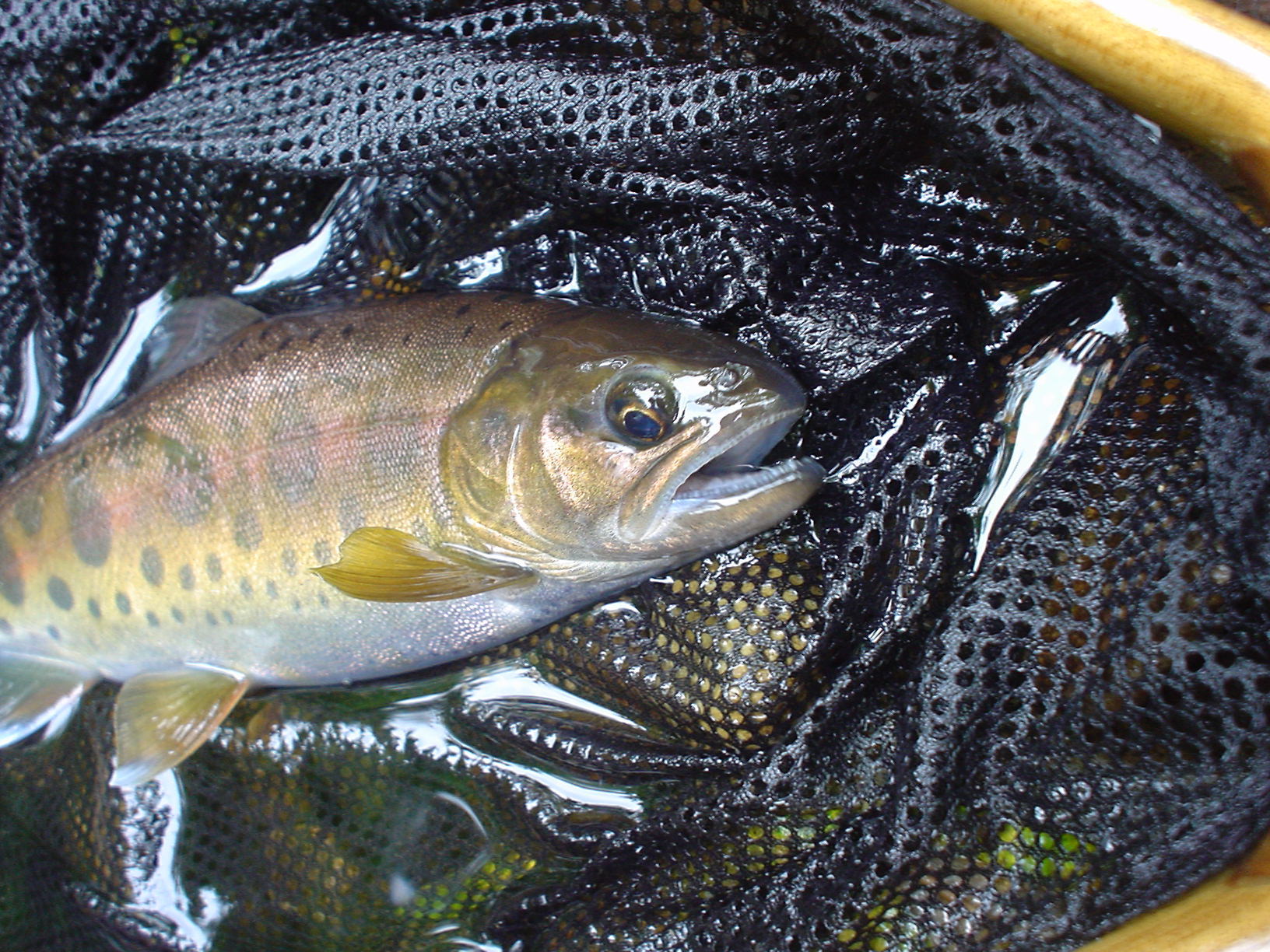 f0280717_17021972.jpg