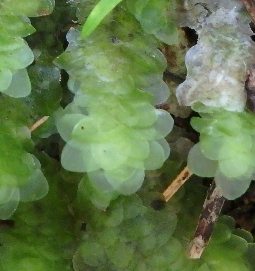 d0187020_13301650.jpg