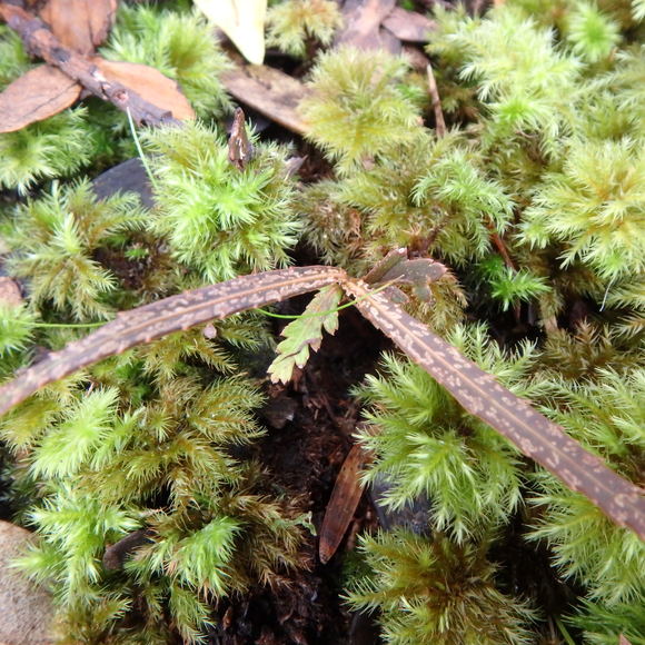 d0187020_946686.jpg