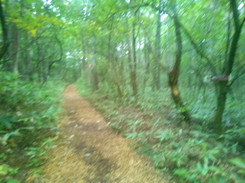 d0158621_07221291.jpg