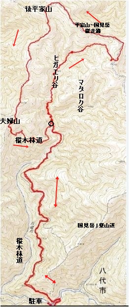 f0193521_5155337.jpg