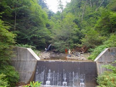 f0193521_9373422.jpg