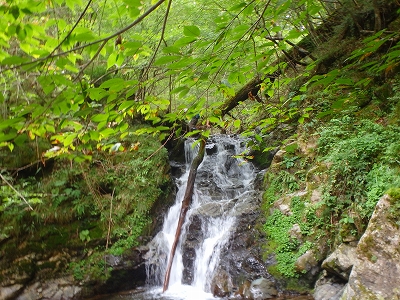 f0193521_9382851.jpg