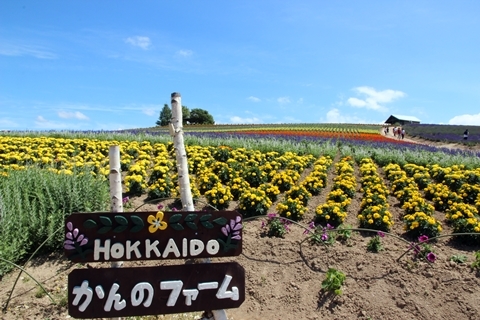 f0340021_11345149.jpg