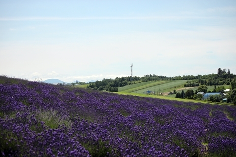 f0340021_12043147.jpg