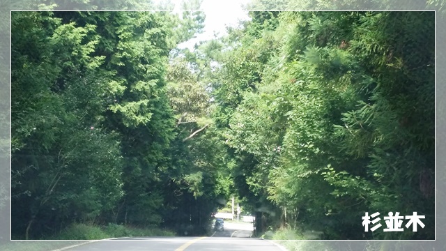 a0115924_19282414.jpg