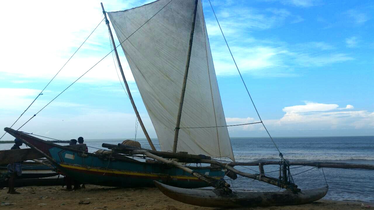 a0349326_33577.jpg