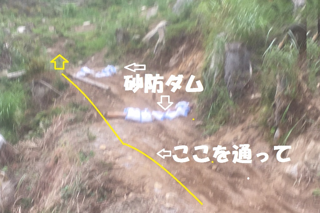 d0222526_18404613.jpeg