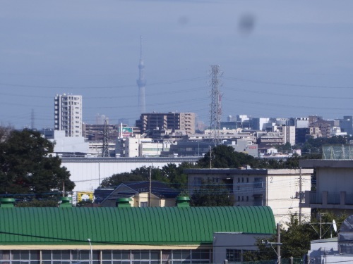 今日までの風景_a0050728_16290190.jpg