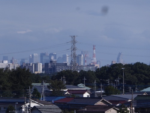 今日までの風景_a0050728_16295209.jpg