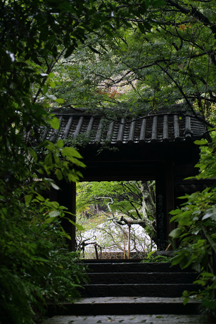 鎌倉散歩　#60 －彼岸花を訪ねて（瑞泉寺・前編）－_b0169330_14303134.jpg