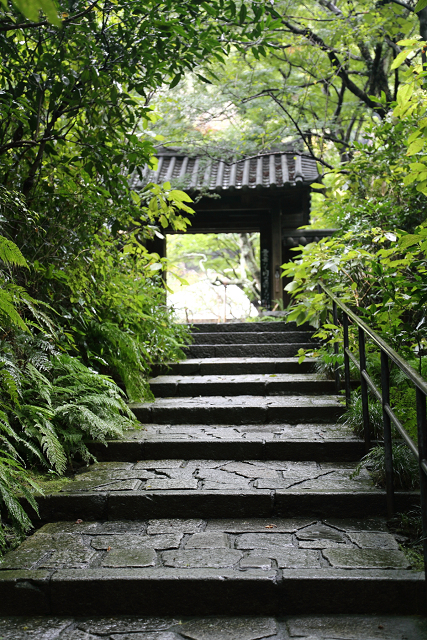 鎌倉散歩　#60 －彼岸花を訪ねて（瑞泉寺・前編）－_b0169330_14303737.jpg