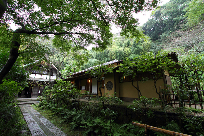 鎌倉散歩　#60 －彼岸花を訪ねて（瑞泉寺・前編）－_b0169330_15434016.jpg