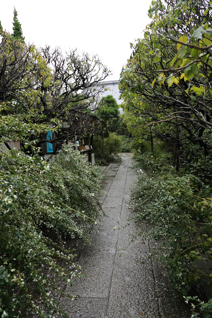 鎌倉散歩　#60 －彼岸花を訪ねて（宝戒寺～妙本寺）－_b0169330_2233230.jpg