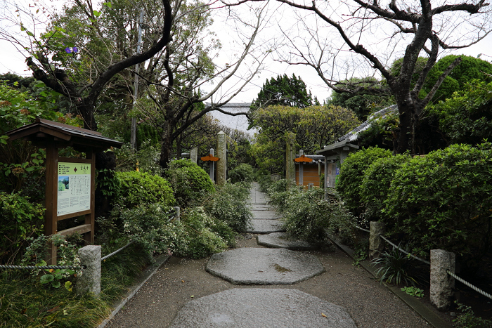 鎌倉散歩　#60 －彼岸花を訪ねて（宝戒寺～妙本寺）－_b0169330_223493.jpg