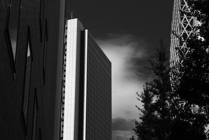 e0191232_17182392.jpg